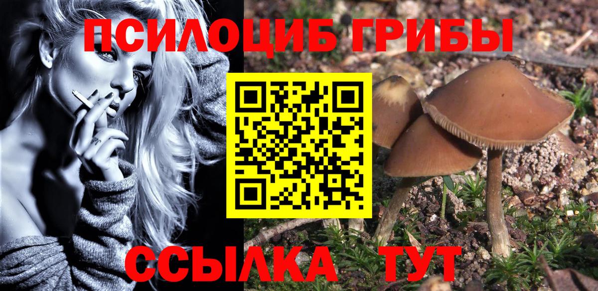 Мелеуз  сколько стоит  Вход с VPN  Псилоцибиновые грибы ЛСД 